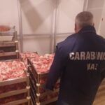 Controlli dei NAS nelle macellerie: sequestrati 11 chili di carne senza tracciabilità e sospeso un locale