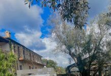 Ualà a PIG Calabria, protagonista tra tradizione e cucina d’autore