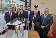 L’opera dell’artista rosarnese Maria Morgante in esposizione permanente a Palazzo Campanella