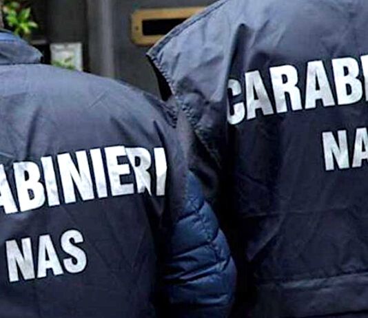 Controlli Carabinieri Nas a Melicucco e Rizziconi: scoperte irregolarità alimentari e abusi nel trasporto di animali