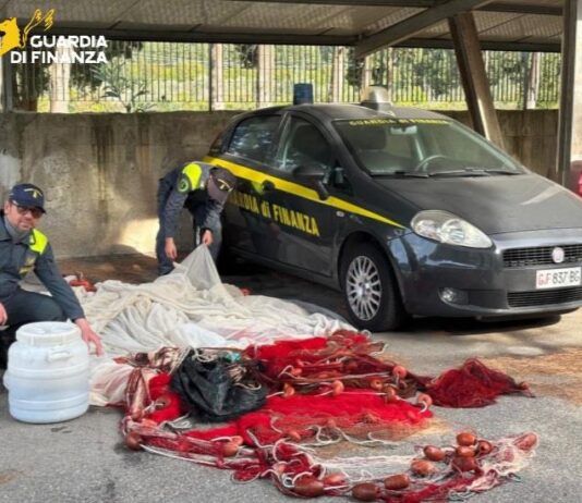 Pesca di frodo lungo la costa ionica: sequestrati oltre 50 kg di novellame di sarda