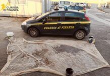 Pesca di frodo sotto costa: sequestrati 25 chili di novellame e multa da 4.000 euro