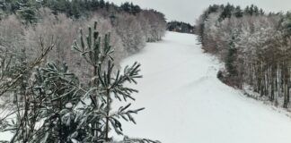 Freddo in Calabria: temperature sotto zero e neve sulla Sila, impianti ancora chiusi