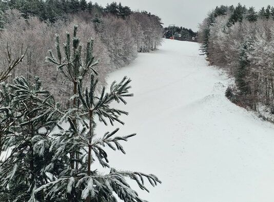 Freddo in Calabria: temperature sotto zero e neve sulla Sila, impianti ancora chiusi