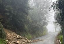 Calabria – Maltempo, frana invade la strada: chiuse le scuole per motivi di sicurezza