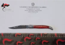 Controlli sul territorio: sequestrati coltelli e denunce per porto abusivo