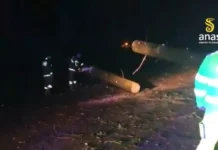 Maltempo in Calabria, albero crolla sulla carreggiata e colpisce un’auto: un ferito