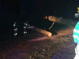 Maltempo in Calabria, albero crolla sulla carreggiata e colpisce un’auto: un ferito