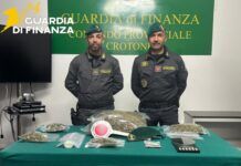 Oltre un chilo di marijuana in casa: arrestato dalla Guardia di Finanza