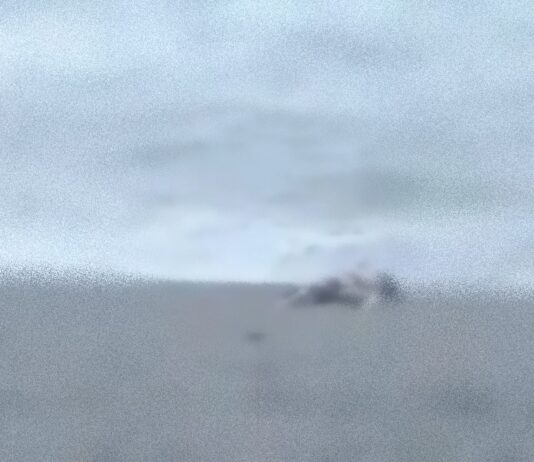 Cadavere in avanzato stato di decomposizione rinvenuto sulla spiaggia