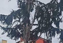 Maltempo nel reggino – scuole chiuse, alberi caduti e voli dirottati