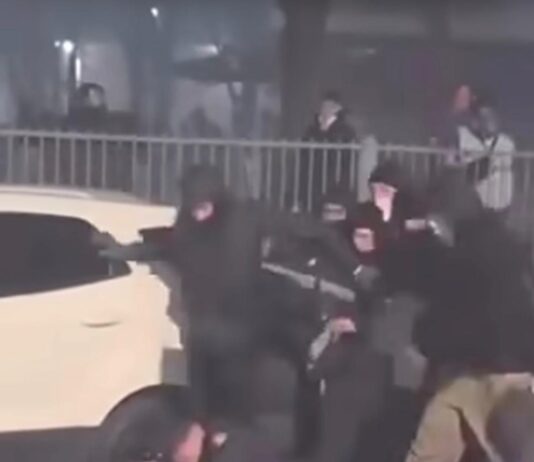 Aggressione a poliziotti durante il corteo Askatasuna: arrestato un 22enne