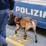 Operazione antidroga: cinque arresti per traffico di stupefacenti legato alla criminalità organizzata