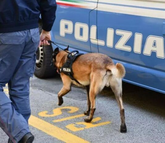 Operazione antidroga: cinque arresti per traffico di stupefacenti legato alla criminalità organizzata