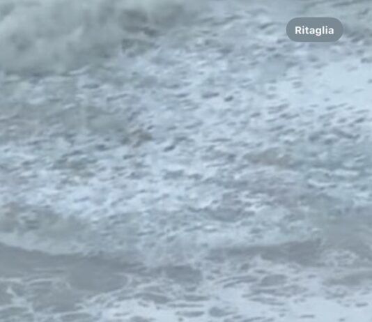 Cadaveri sulle coste del Tirreno: la Procura ipotizza migranti dispersi in mare