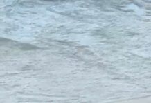 Due cadaveri avvistati tra le onde del mare di Tropea