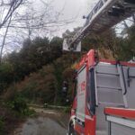 Maltempo in Calabria: oltre 40 interventi dei Vigili del Fuoco tra allagamenti e alberi caduti nel vibonese