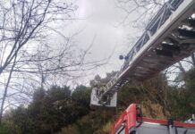 Maltempo in Calabria: oltre 40 interventi dei Vigili del Fuoco tra allagamenti e alberi caduti nel vibonese