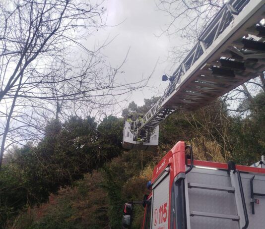 Maltempo in Calabria: oltre 40 interventi dei Vigili del Fuoco tra allagamenti e alberi caduti nel vibonese