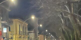 Gran Carnevale Cittanovese: la città risponde, migliaia di persone in festa e appuntamento al 15 febbraio