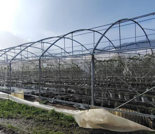 Maltempo in Calabria: Coldiretti segnala gravi danni alle aziende agricole