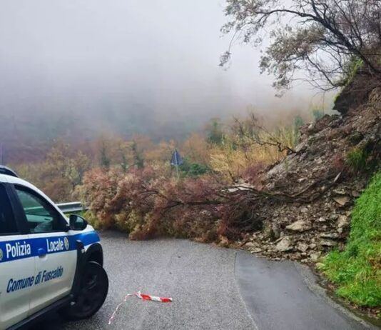 Frana in Calabria: detriti e alberi bloccano strada provinciale