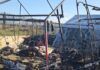 San Ferdinando, incendio nella tendopoli: fiamme da un fornelletto acceso