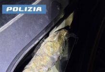Fermato in autostrada con marijuana e cocaina: arrestato