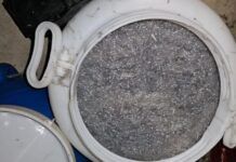 Pesca di frodo sotto costa: la Guardia di Finanza sequestra 22 kg di novellame e multa il responsabile