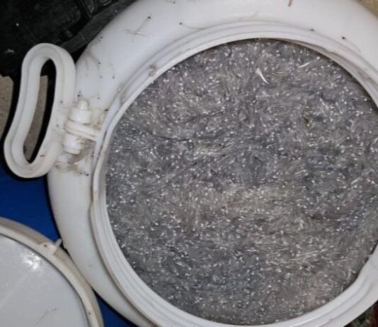 Pesca di frodo sotto costa: la Guardia di Finanza sequestra 22 kg di novellame e multa il responsabile