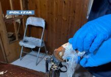 Armi, droga e munizioni in casa: arrestati due fratelli