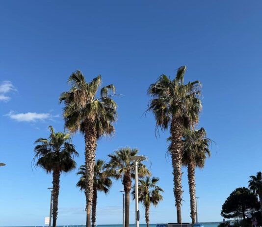 Controlli straordinari della Polizia di Stato: identificati centinaia di soggetti e sequestrata droga