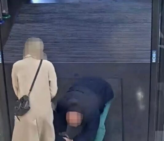 Tentato rapimento bambina, l’uomo arrestato: “Non sapevo se fosse un peluche o una bambina”