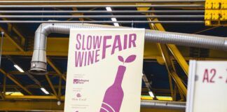Calabria protagonista alla Slow Wine Fair 2026: 38 espositori a BolognaFiere