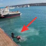 Calabria – Aggredito e scaraventato in mare un cameraman di Striscia la Notizia durante inchiesta sul novellame di sarda