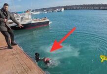 Calabria – Aggredito e scaraventato in mare un cameraman di Striscia la Notizia durante inchiesta sul novellame di sarda