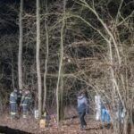 Uccide la mamma e seppellisce il corpo nel bosco