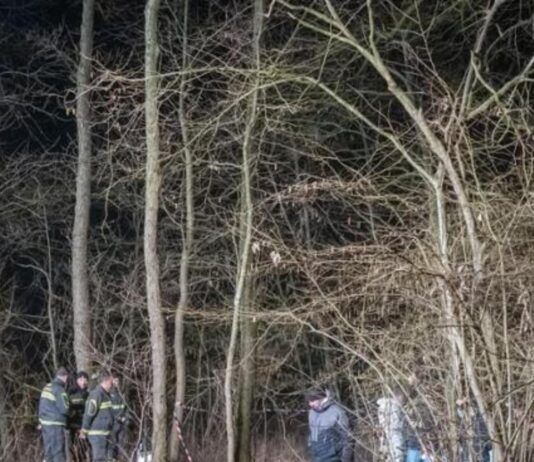 Uccide la mamma e seppellisce il corpo nel bosco