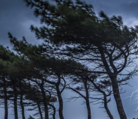 Vento record nella notte: raffiche fino a 122 km/h, danni e alberi abbattuti