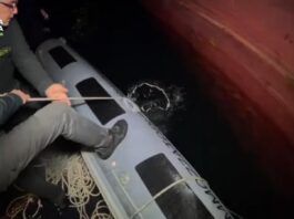 Sequestrati quasi 400 kg di cocaina al Porto di Gioia Tauro