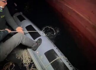 Sequestrati quasi 400 kg di cocaina al Porto di Gioia Tauro