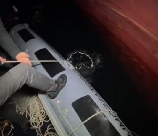 Sequestrati quasi 400 kg di cocaina al Porto di Gioia Tauro