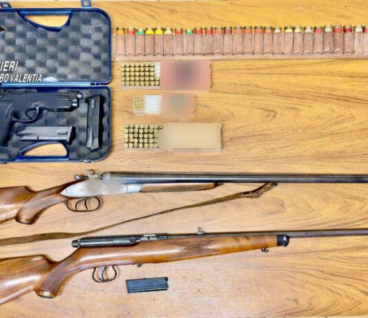 Controlli dei Carabinieri sulle armi – denunce e sequestri in diversi comuni