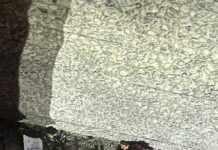 Rosarno, bocconi avvelenati in via Elena: lettori segnalano pericolo per cani e animali domestici