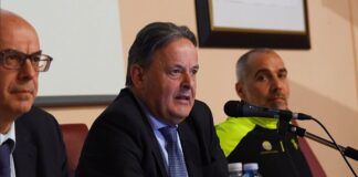 Calabria punta sulla valorizzazione del settore forestale: nuovi piani per i boschi della Sila