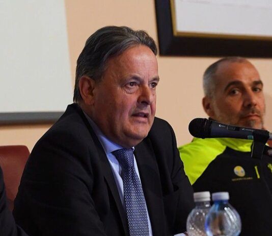 Calabria punta sulla valorizzazione del settore forestale: nuovi piani per i boschi della Sila