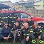 Cane corso scomparso da 4 giorni e finito in una scarpata, recuperato da Vigili del Fuoco