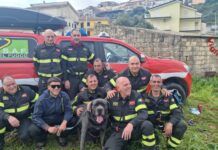 Cane corso scomparso da 4 giorni e finito in una scarpata, recuperato da Vigili del Fuoco