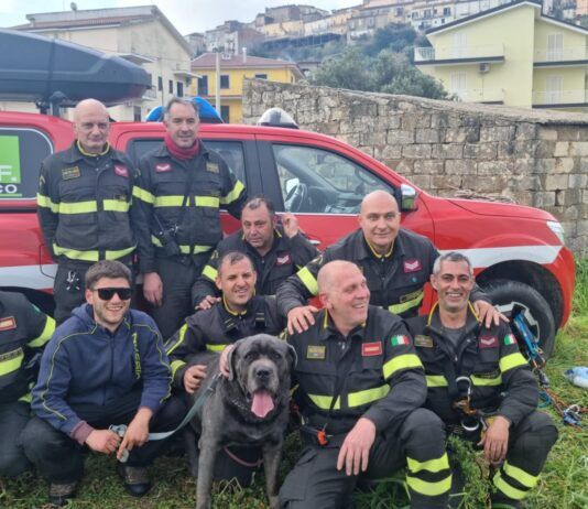 Cane corso scomparso da 4 giorni e finito in una scarpata, recuperato da Vigili del Fuoco