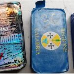 Carabinieri scoprono panetti hashish, alcuni avevano scritta “Regione Calabria”